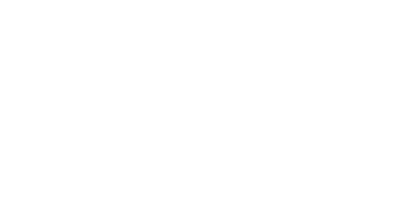 에이스 솔루션 logo